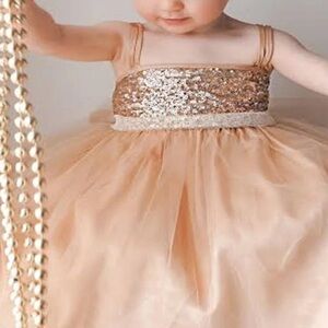 Petite Adele Baby Girls Champagne Sequined Girl Dress Sz24M christmas dress